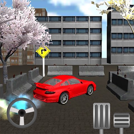 Car Parking Real 3D