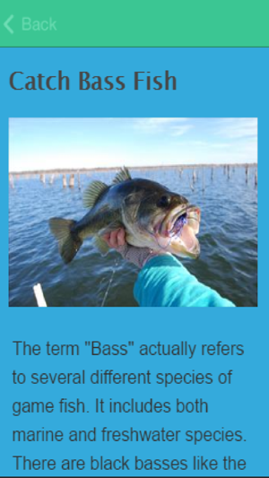 How To Catch Bass(圖3)-速報App