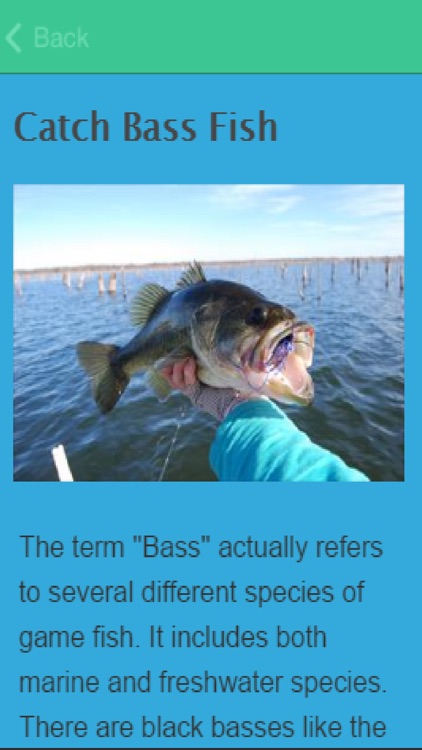 How To Catch Bass