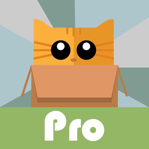 BoxCat BrickBuster Pro iOS App