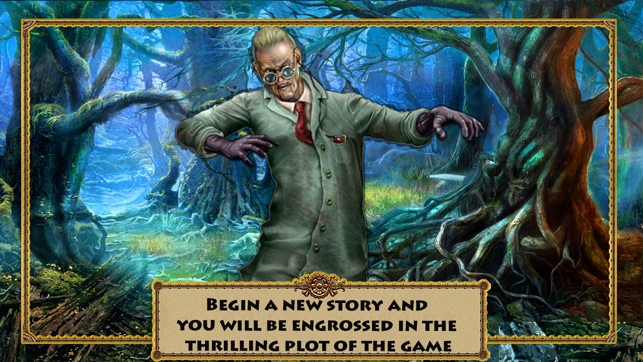 Hidden Object: Mysterious Forest Profess