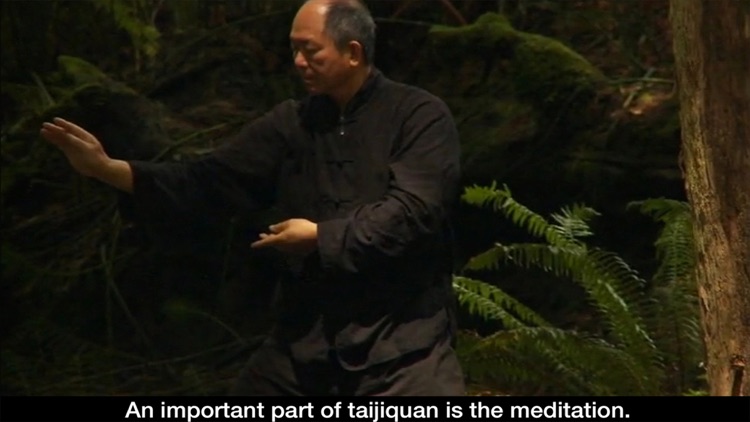 Yang Tai Chi for Beginners 2&3