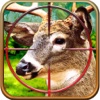 2016 Deer Hunt Night Deer Hunting Free Games Play As a Expert Hunter Pefect - Shooting Season