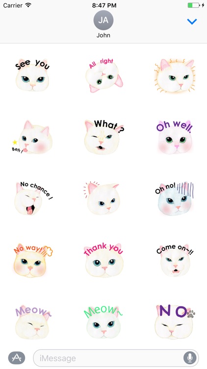 Cat Face Sticker