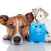 The Costs of Owning a Pet:Foods,Toys and Treats