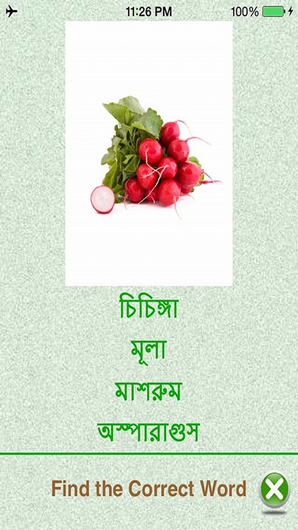 Flashcards Bengali Lesson