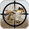 Birds Sniper Hunting 2016