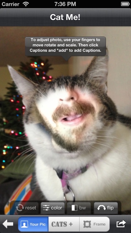Cat Me Pro screenshot-2