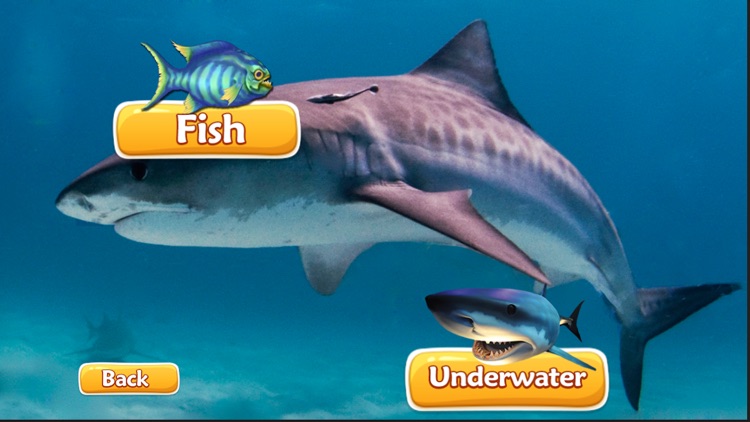 Sharks Spear Fishing Underwater - Shark Evolutions