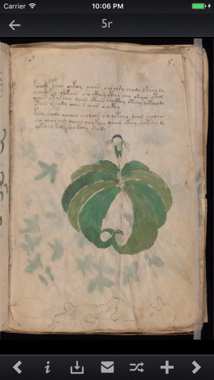 Voynich Manuscript Kit(圖4)-速報App