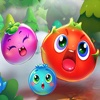 Fruits Garden Blast