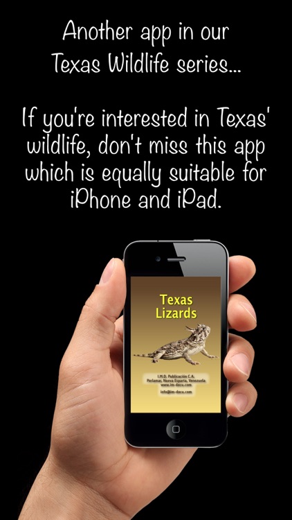 Texas Lizards – Guide to the Most Common Species