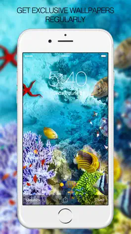 Game screenshot Fish Pictures – Fish Wallpapers & Backgrounds hack