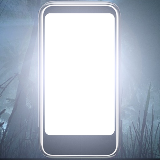 Flashlight Professional ™ icon