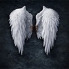 天使の羽の壁紙HD：アート写真 - iPhoneアプリ
