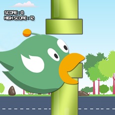 Activities of Crazy Floppy Bird