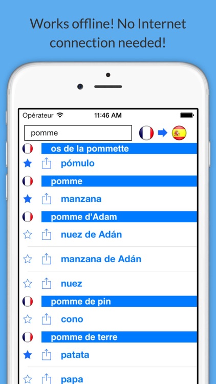 Offline French Spanish Dictionary with Voice