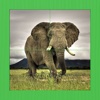 Lovely Animal Jigsaw For Kids