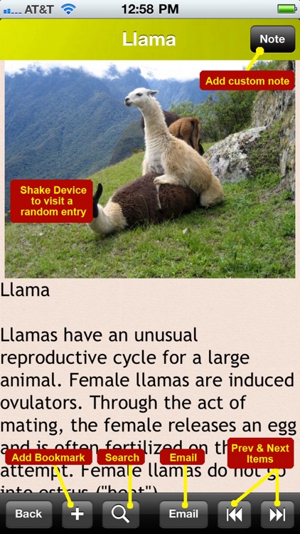 Animal Reproduction and Sexuality screenshot-3