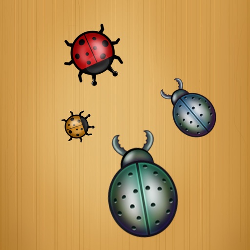 Bugs Bang Icon