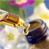 Natural Oils 101: Plant Therapy and Hot Topics
