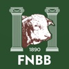 FNBB MobileFIRST for iPad