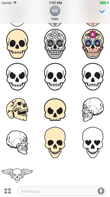 Skull Art