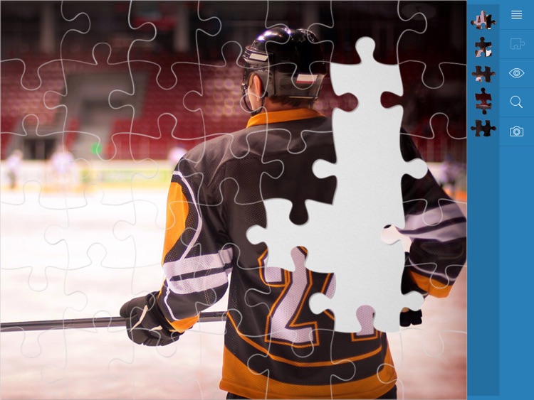 Jigsaw Puzzles Active Life