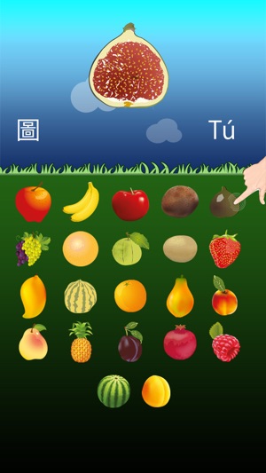 Chinese Fruits Go for Kids(圖3)-速報App