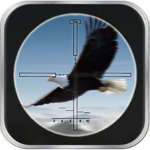 Bird Hunting City iOS App