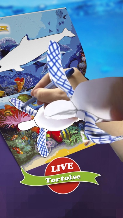 Fish2Paint