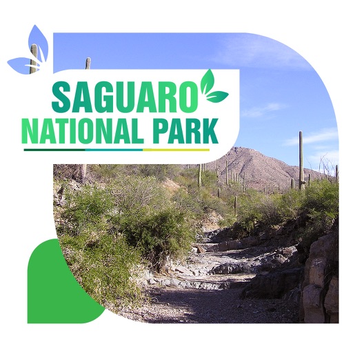 Saguaro National Park Tourism Guide icon