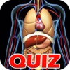 Human Anatomy Quiz-Pro Trivia Learn The Human Body