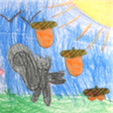 Activities of Nutty Squirrels