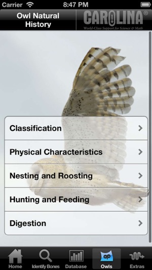 Owl Pellet Activities Lite(圖3)-速報App