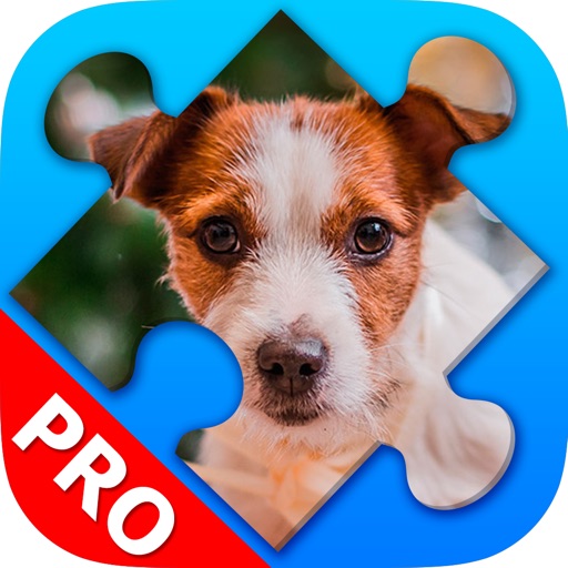 Puppy Jigsaw Puzzles. Premium Icon