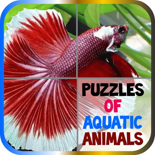 Puzzles of Aquatic Animals Free Icon