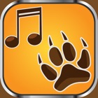 Top 44 Music Apps Like Animal Ringtones Soundboard – Crazy Noises and Funny Sound Effects Free - Best Alternatives