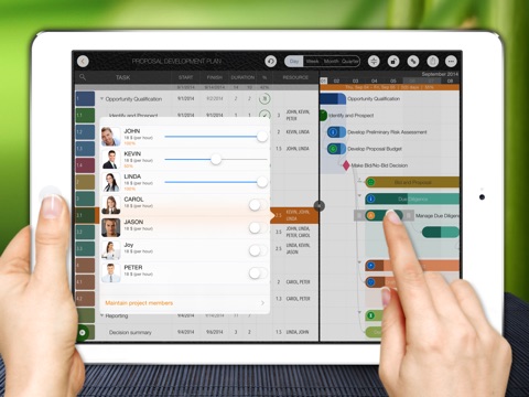 QuickPlan Basic - Project Plan screenshot 4