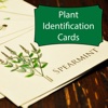 Plant Identification Glossary|Garden Guides