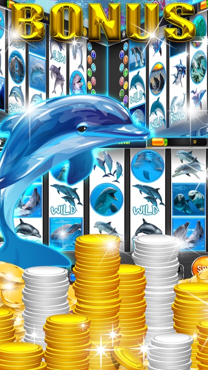 Springbok Casino No- spintropolis deposit Extra Codes 2022