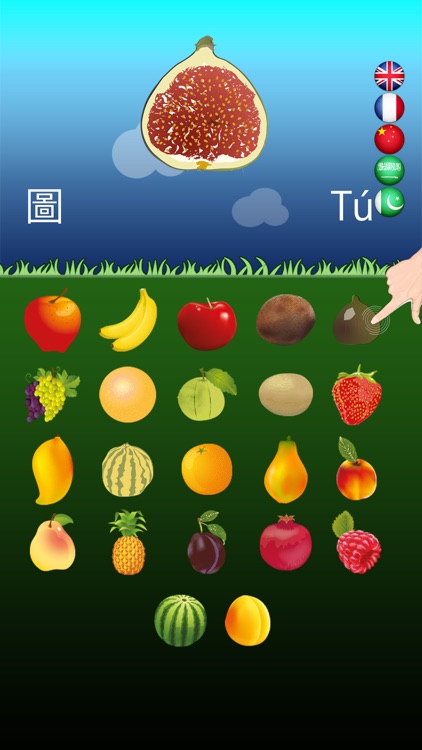 Multilingual Fruits Go for Kids