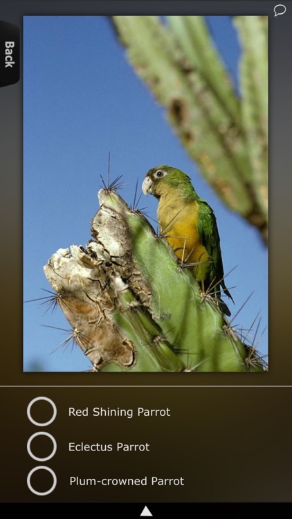 Parrot Catalog screenshot-3