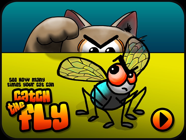 Catch the Fly Cat Game