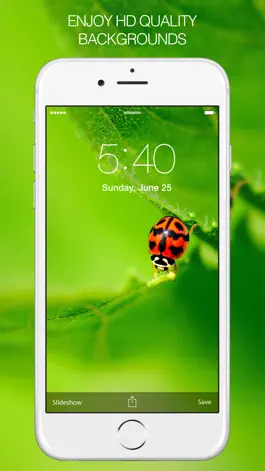 Game screenshot Insects Photography – Insect Wallpapers & Pictures apk