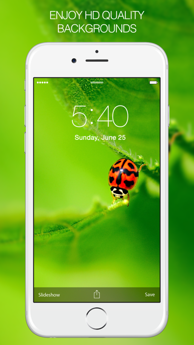 How to cancel & delete Insects Photography – Insect Wallpapers & Pictures from iphone & ipad 2