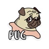 PUG Sticker