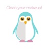 Clean Your Makeup