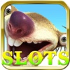 Civet Cartoon Poker - Fun Las Vegas Slot Machine