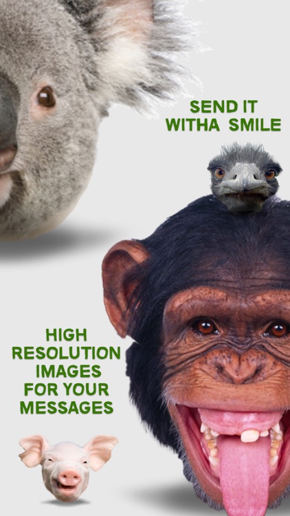 Animal Funny Faces screenshot-3